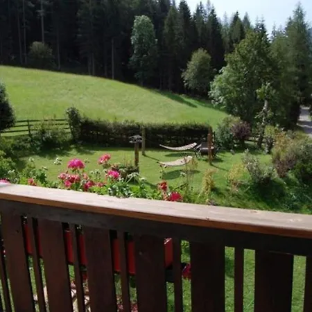 公寓 祖阿尔滕施米德公寓 *